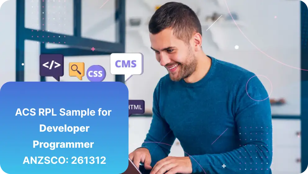 Developer Programmer